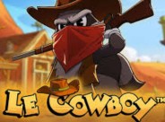 Le cowboy